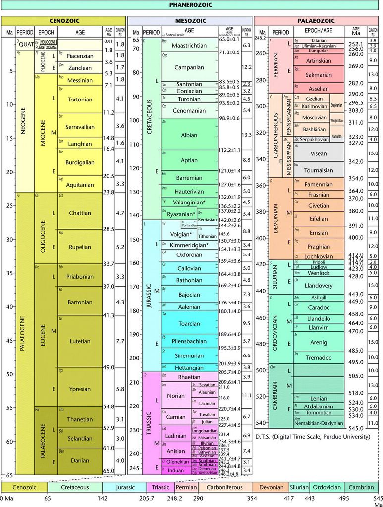 Afarensis: Anthropology, Evolution And Science: Geological Timescales